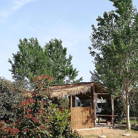 Bnatural Glamping Naturista/Nudista Baratti Luaran gambar
